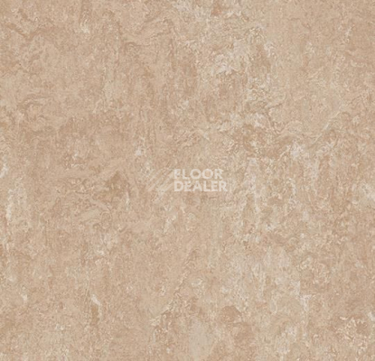 Линолеум Forbo Marmoleum Marbled Real 3141 Himalaya фото 1 | FLOORDEALER